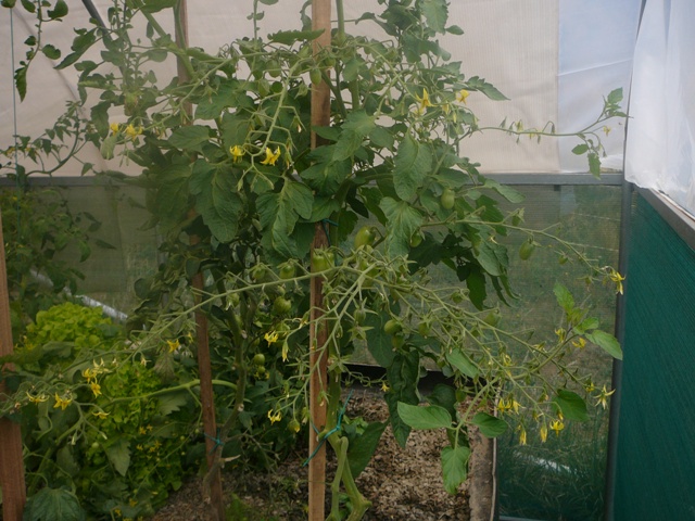 system pics 3.112.09 009.jpg