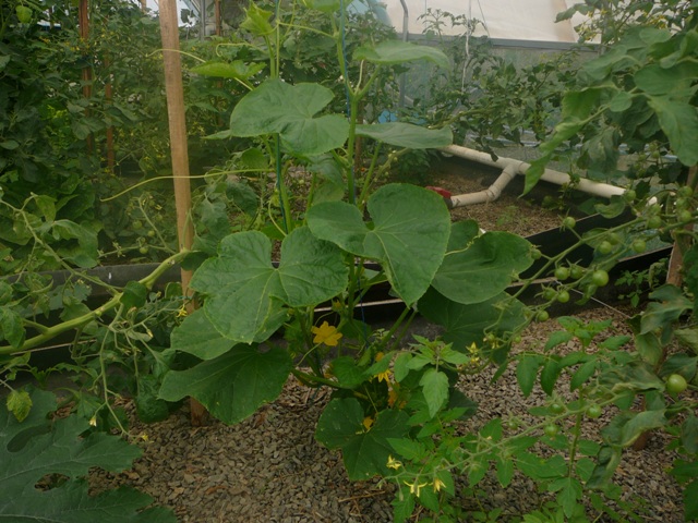 system pics 3.112.09 012.jpg