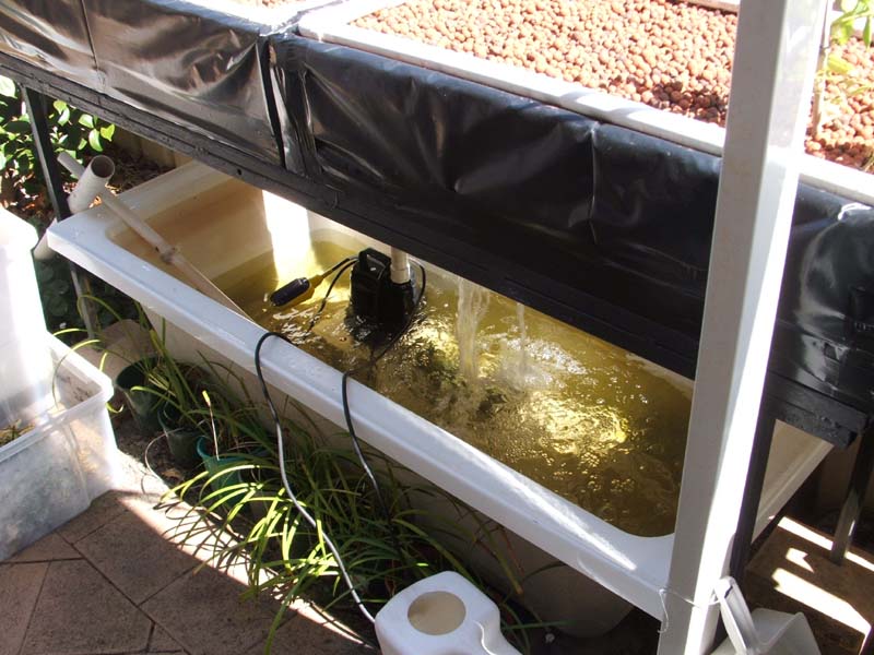 Acrylic bath as sump.jpg