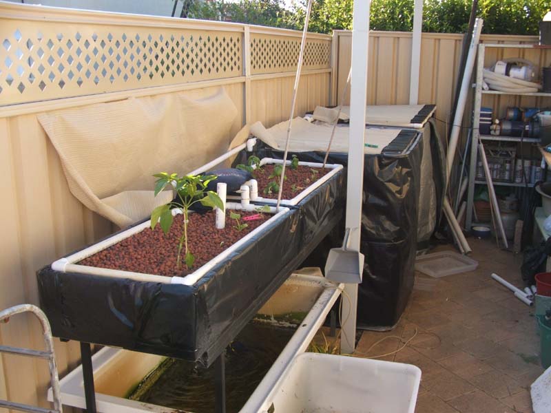 Total System 03_12_09.jpg