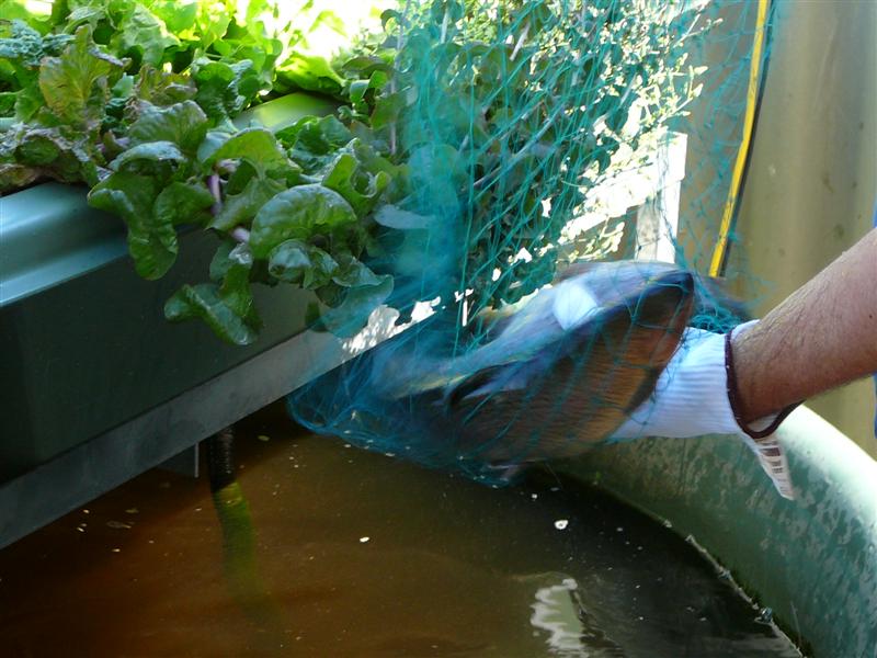 P1080713 (Medium).JPG