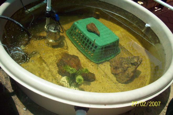 5 Dec 09 Baramundi Tank.jpg