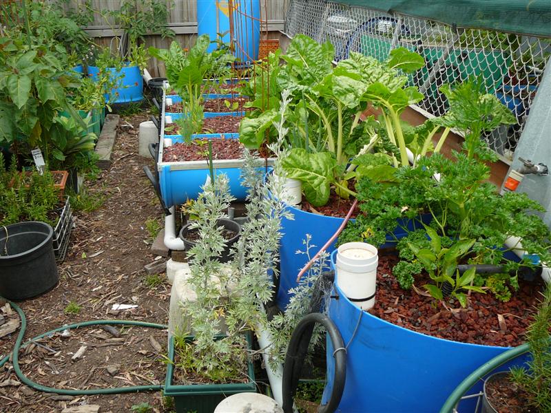 AP2- 005 (Medium).jpg