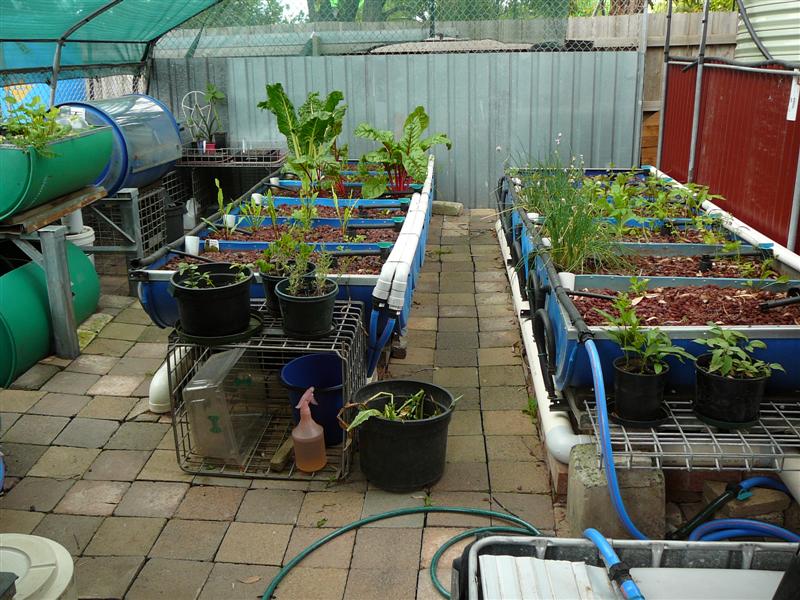 AP2- 004 (Medium).jpg