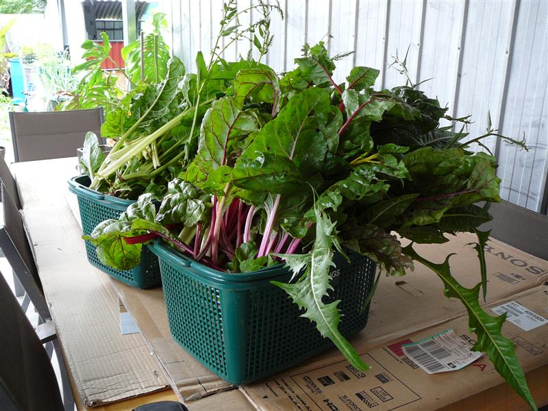 AP2- 001 (Medium).jpg