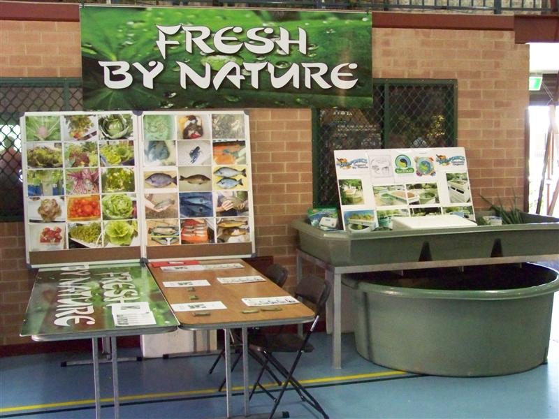 100_3954 (Medium).JPG