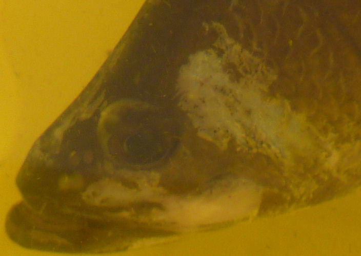 up close and personal.jpg