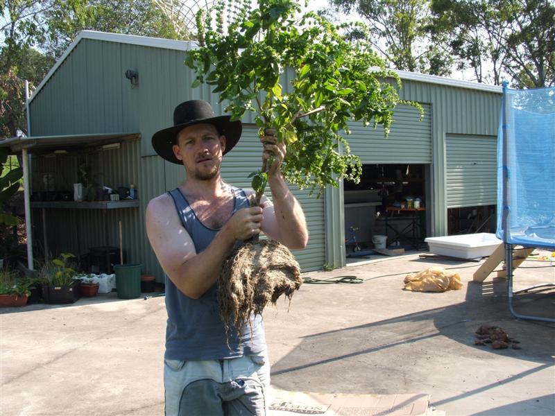 DSCF3464 (Medium).JPG