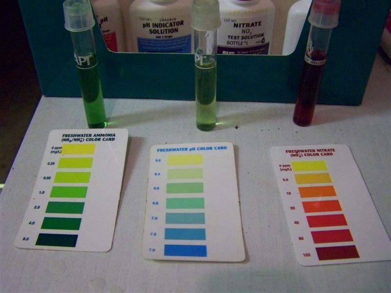 100_4017 (Medium).JPG