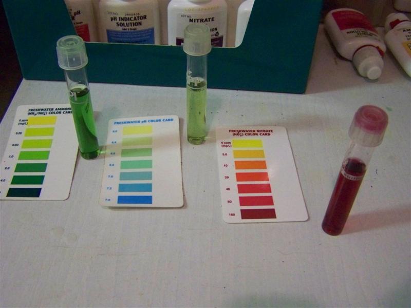 100_4016 (Medium).JPG