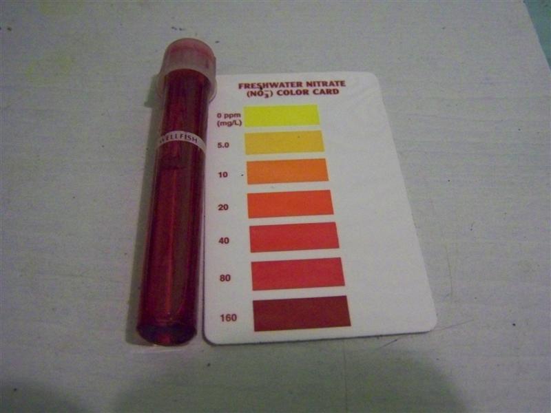 100_4018 (Medium).JPG