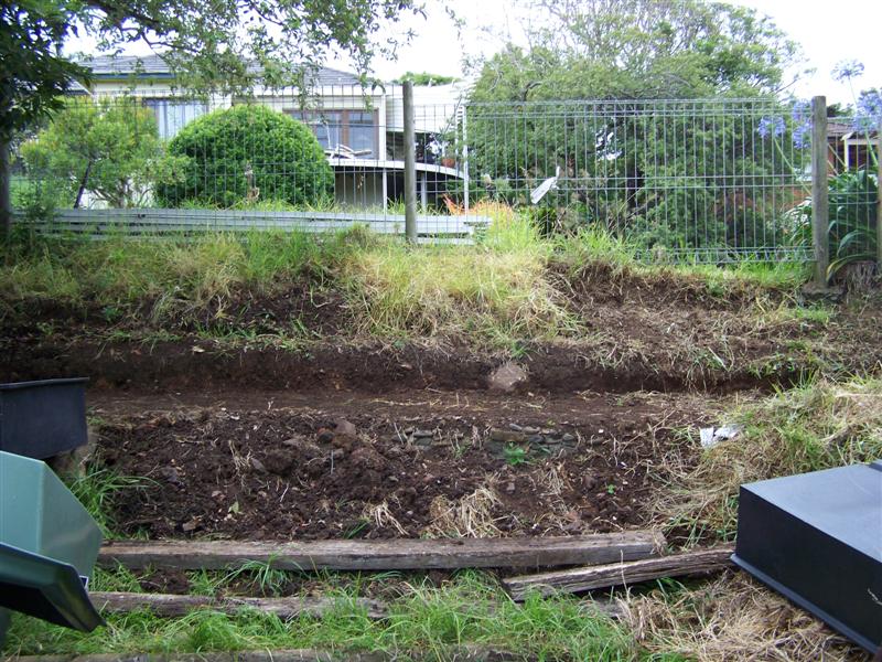 100_4010 (Medium).JPG