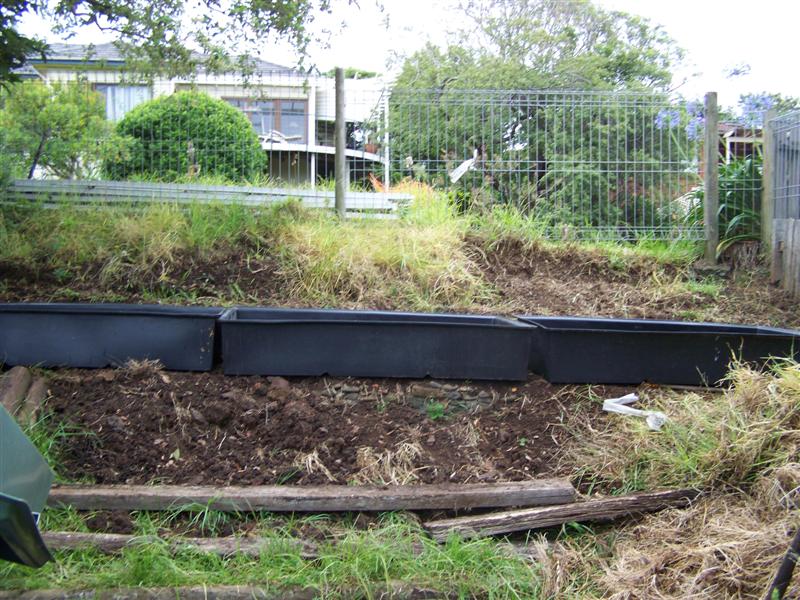 100_4012 (Medium).JPG