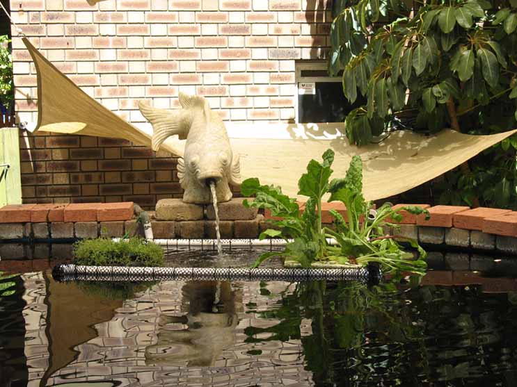 floating perch cage.jpg