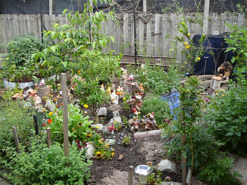 Fairy garden 2 010 (Medium).jpg
