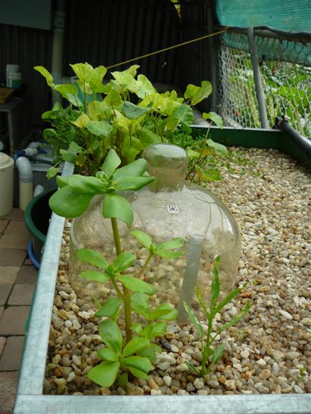 BYA 2 017 (Medium).jpg