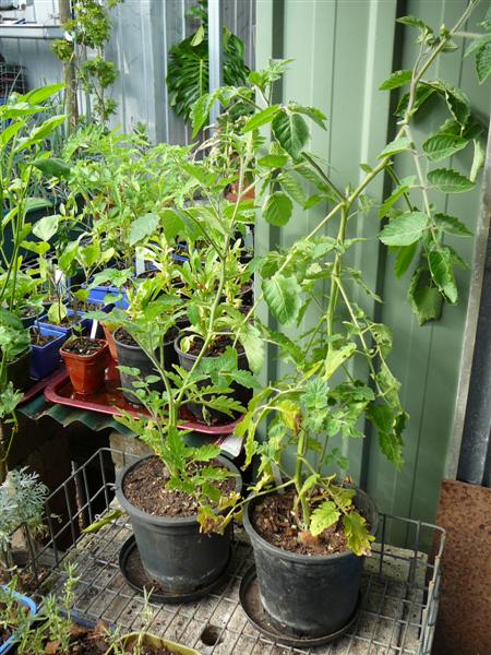 AP3 - 003 (Medium).jpg