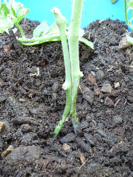 AP3 - 002 (Medium).jpg