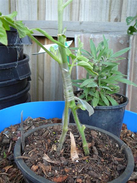 AP3 - 001 (Medium).jpg