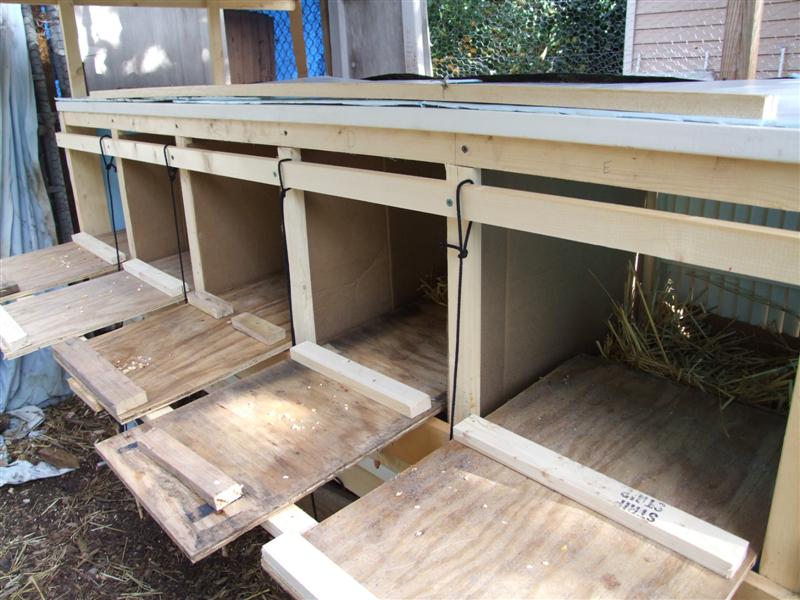 Trap doors (Medium).JPG