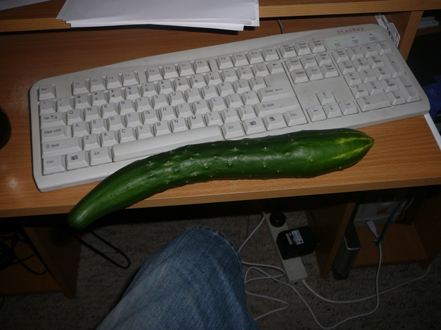 first cucumber.jpg