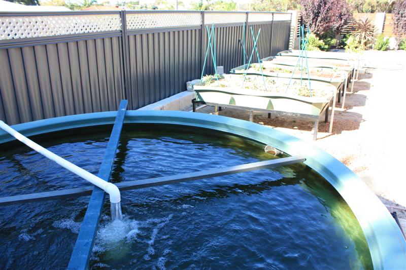 pump running 27-12-09.jpg