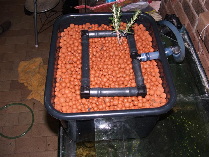 DSCF2308 (Medium).JPG