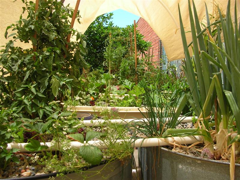 DSCN1675 (Medium).JPG