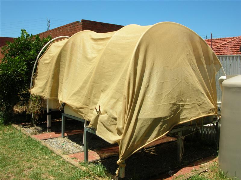 DSCN1668 (Medium).JPG