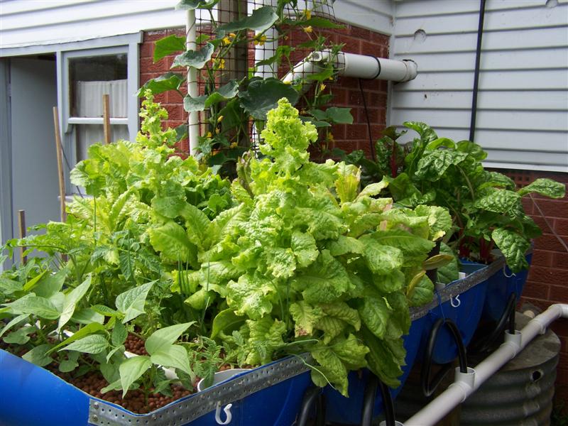 100_1991 (Medium).JPG