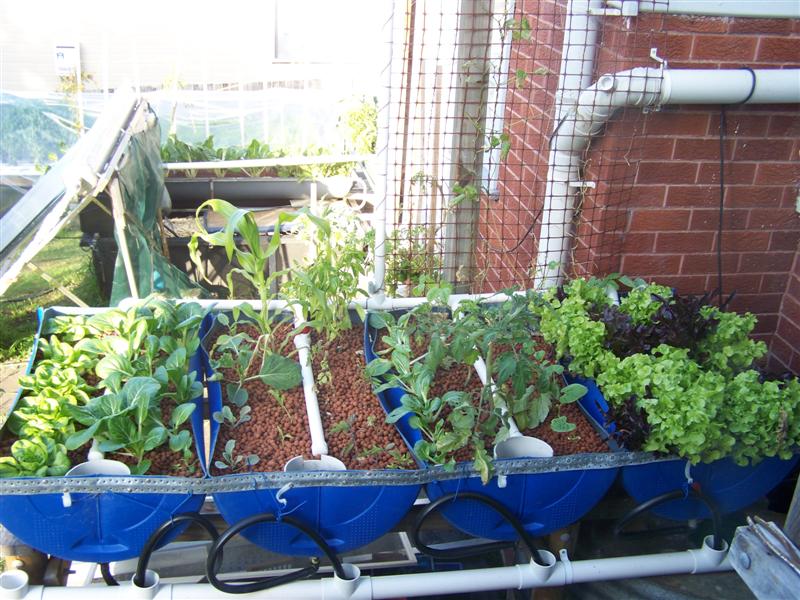 100_2975 (Medium).JPG