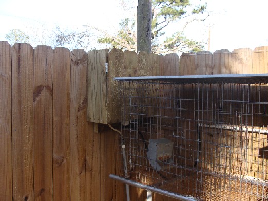 not so redneck toilet tank.JPG