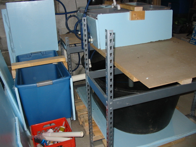 Reconfigured Back.jpg