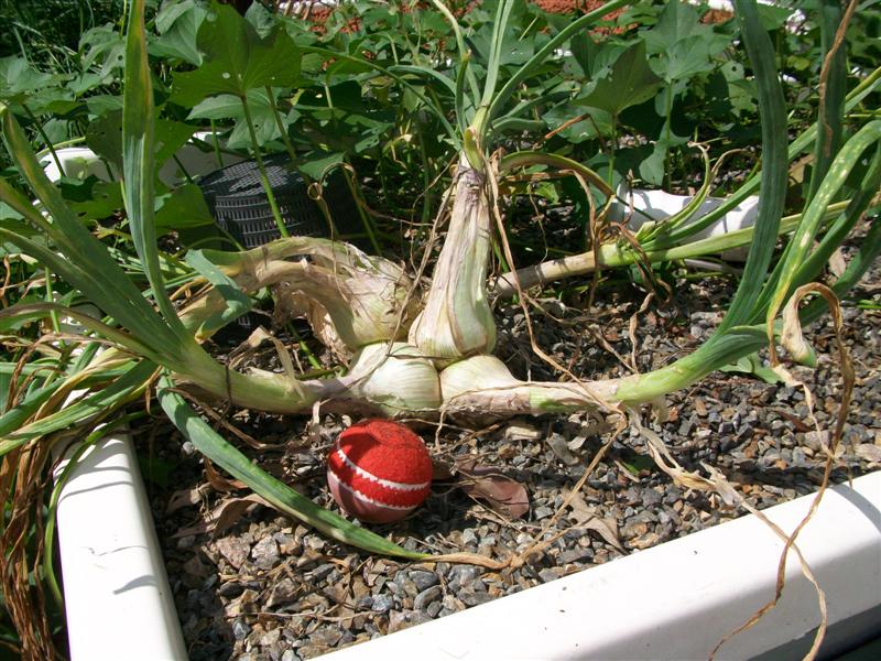 100_0692 (Medium).JPG