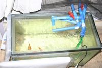 tn_First System 2.JPG