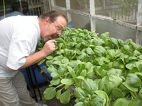 tn_greens growth NFT Manila.JPG