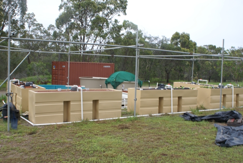 Whole setup 001 close up.jpg