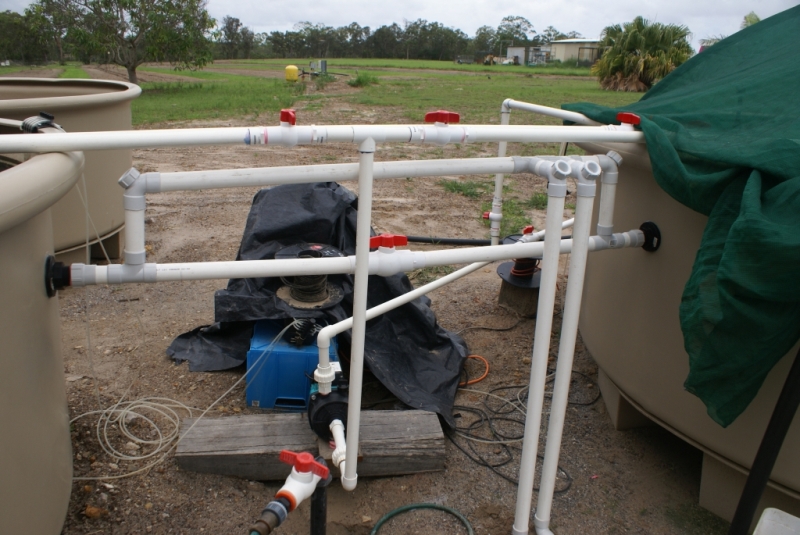 Fish Tank Levelling and Overflow.jpg