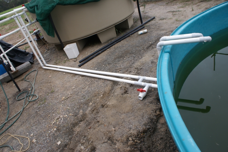 Fish Tank Levelling and Overflow 002.jpg