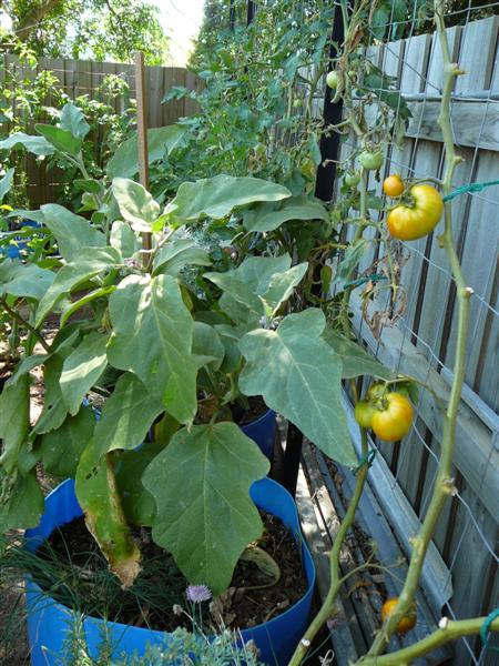 10-01-10 013 (Medium).jpg