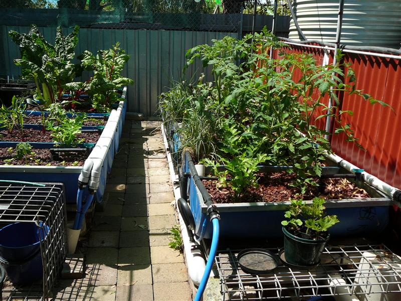 10-01-10 010 (Medium).jpg