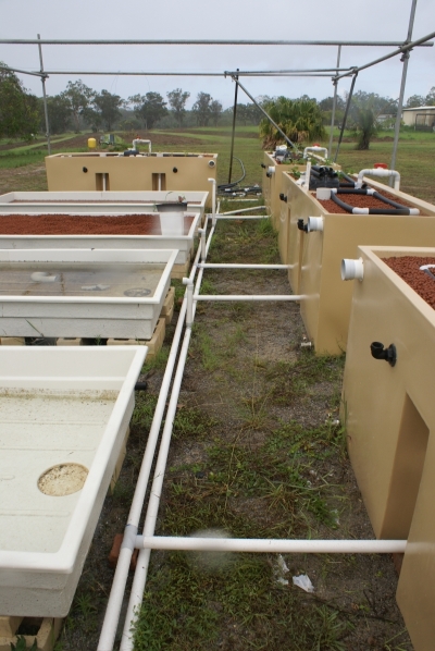 Whole setup 001 drainage sm.jpg