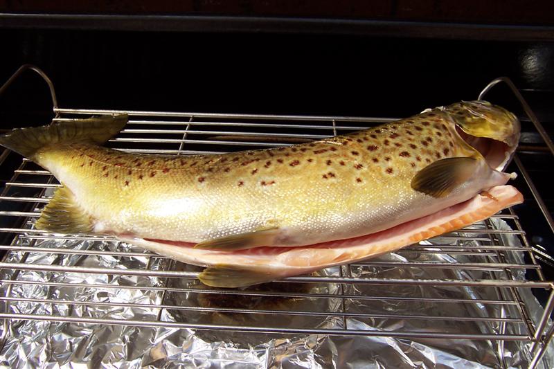 The Smoker (1) (Medium).jpg