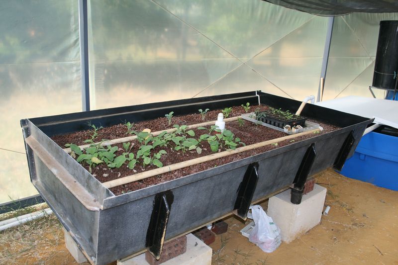 working growbed 001.jpg