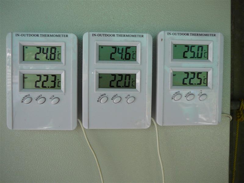 13-01-10 001 (Medium).jpg