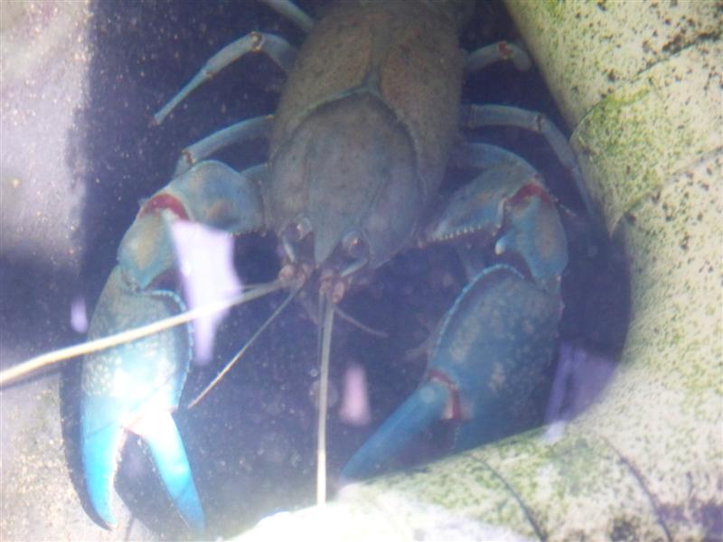 100_3432 (Medium).JPG