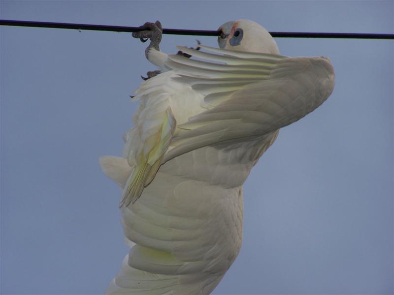 100_2052 (Medium).JPG