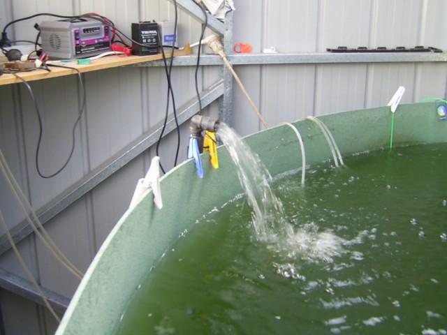 PIC_3318 [640x480].JPG