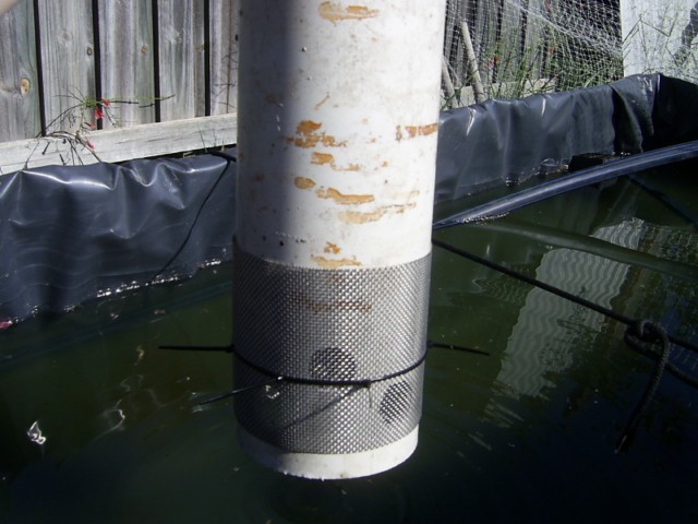 PIC_3321 [640x480].JPG