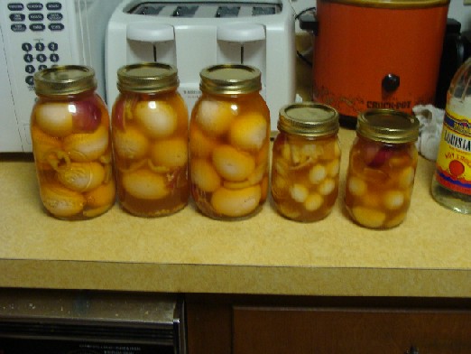 pickled eggs.JPG